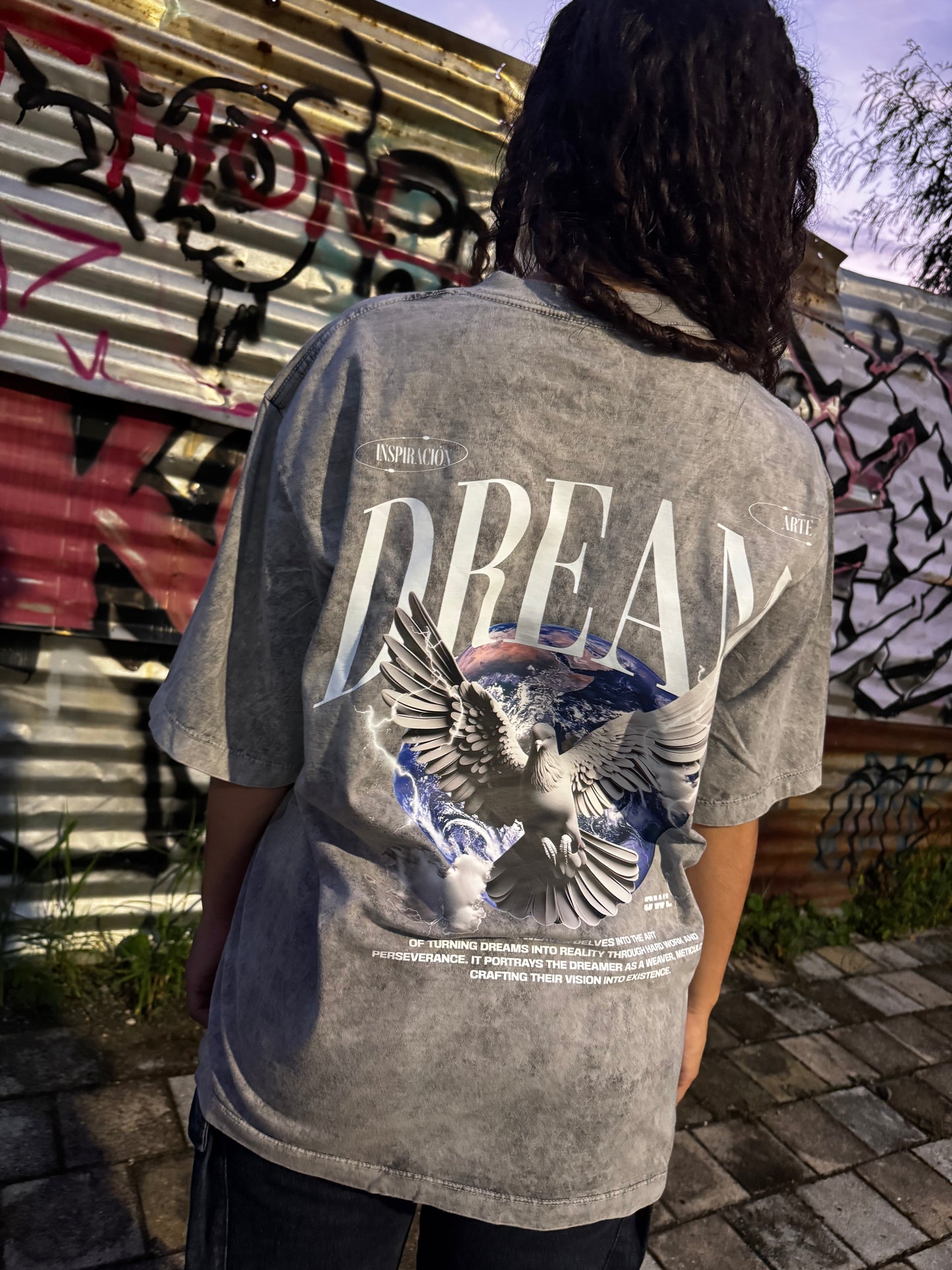 camiseta DREAM wash