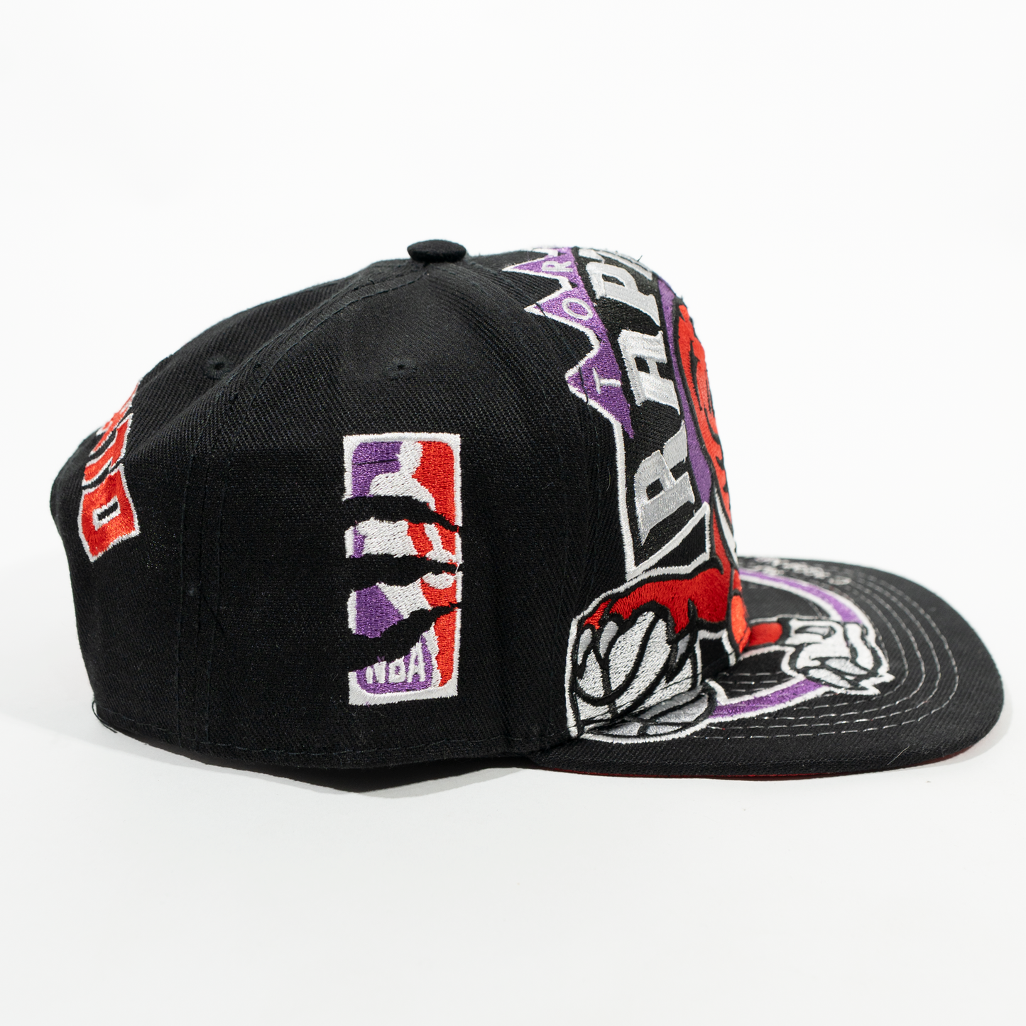 Gorra Logo RAPTORS