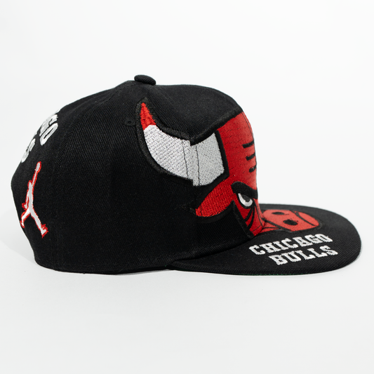 Gorra Logo CHICAGO BULLS