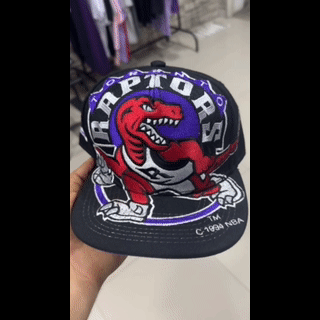 Gorra Logo RAPTORS