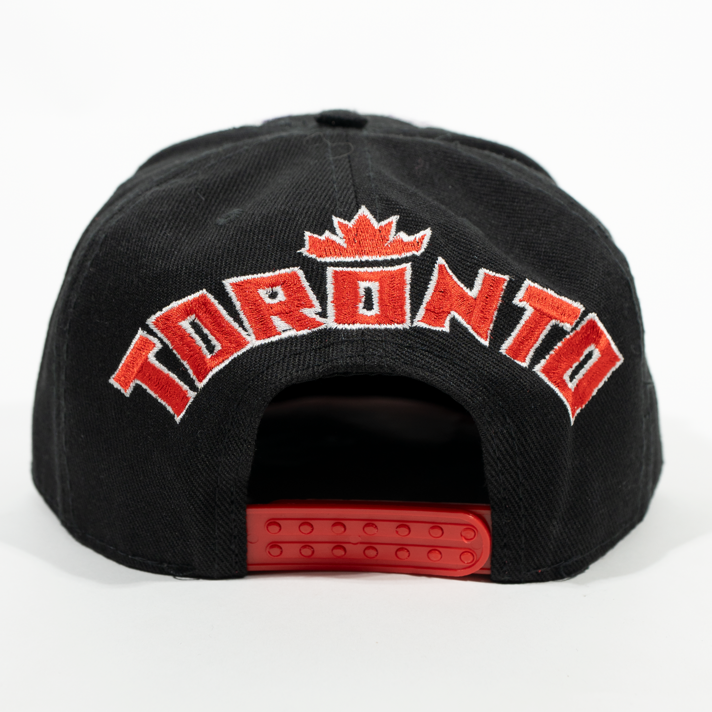 Gorra Logo RAPTORS