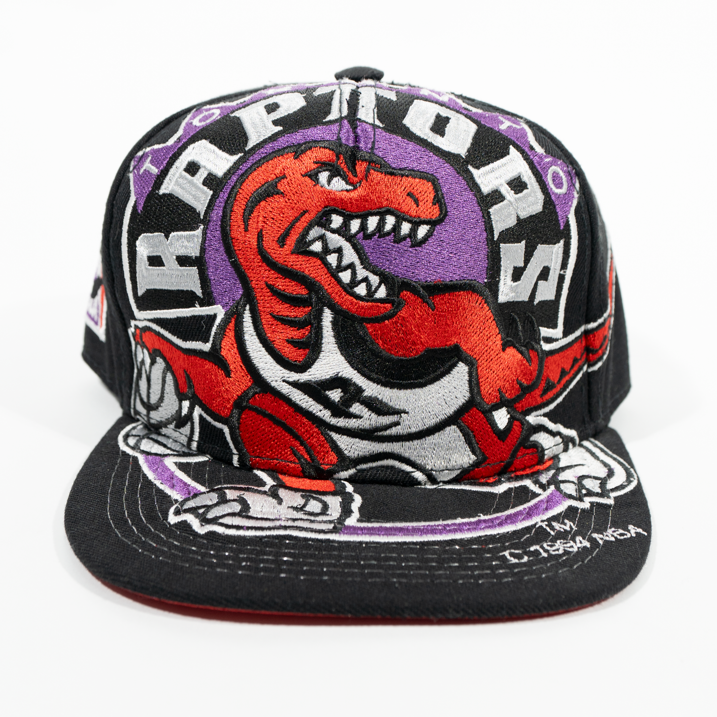 Gorra Logo RAPTORS