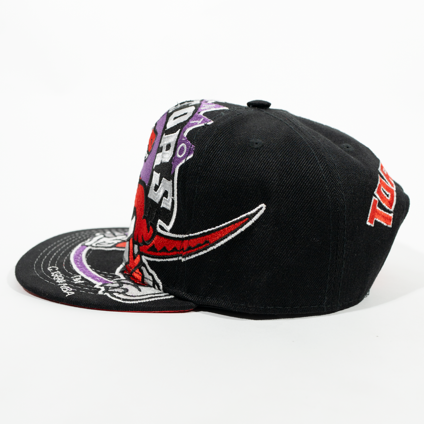 Gorra Logo RAPTORS
