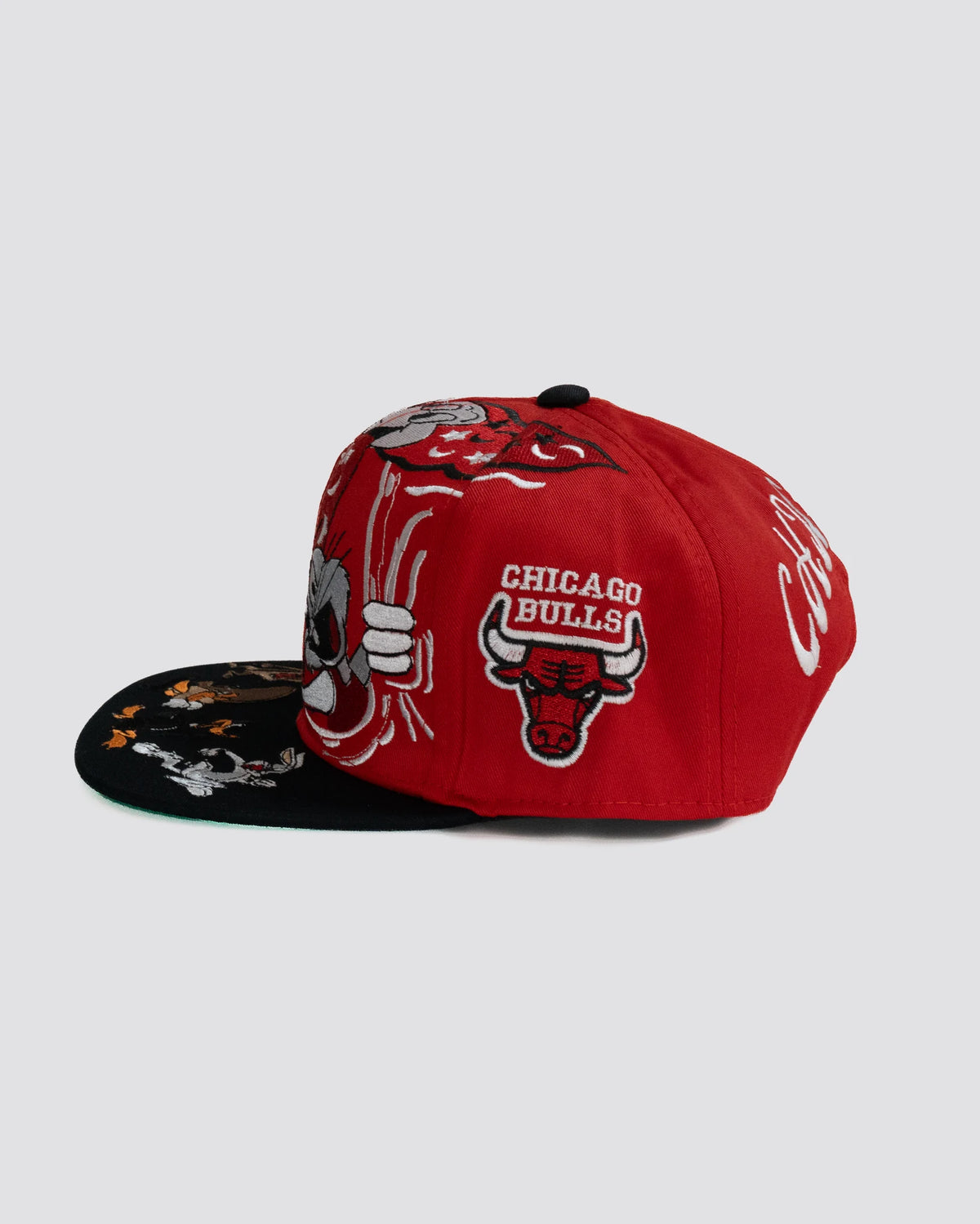 Gorra looney tunes CHICAGO BULLS lado derecho