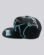 Gorra BIG LOGO CAROLINA PANTERS