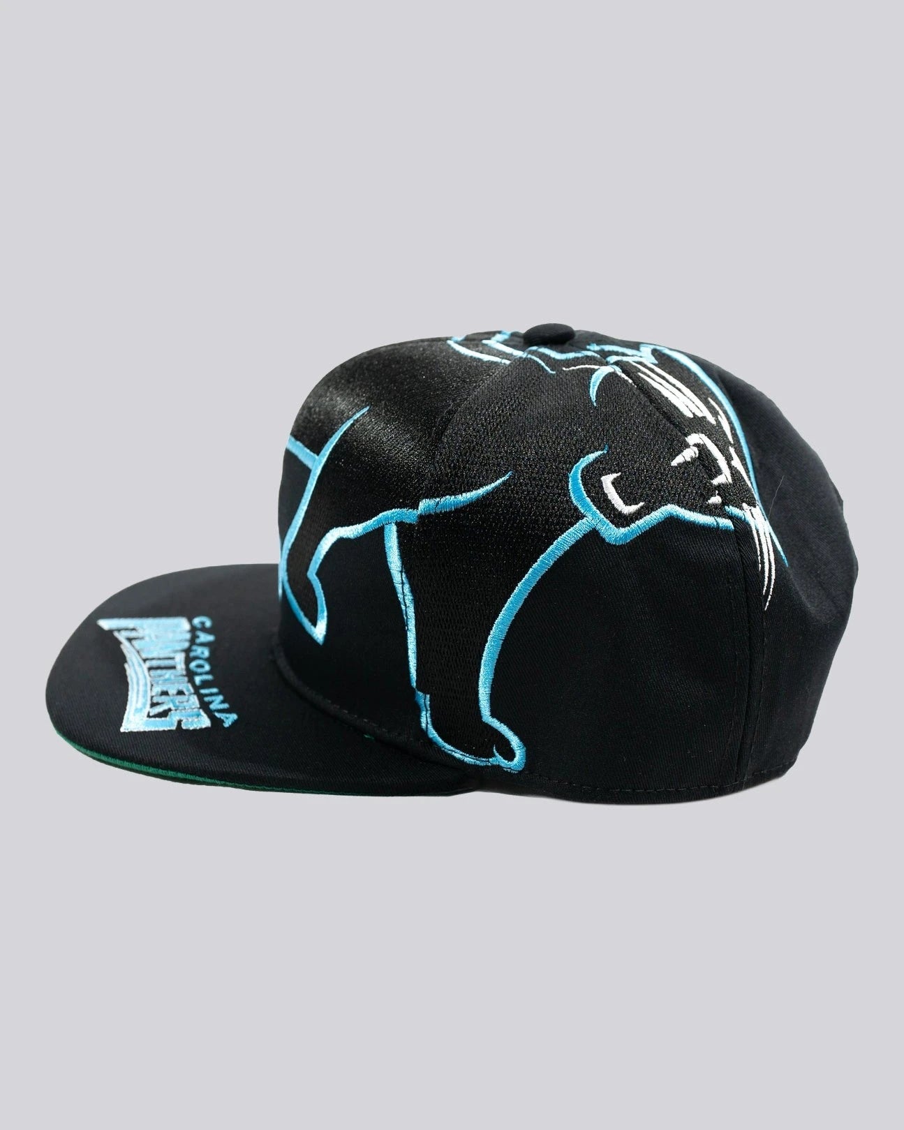 Gorra BIG LOGO CAROLINA PANTERS