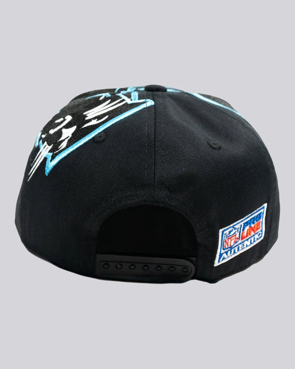 Gorra BIG LOGO CAROLINA PANTERS