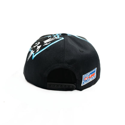 Gorra BIG LOGO CAROLINA PANTERS