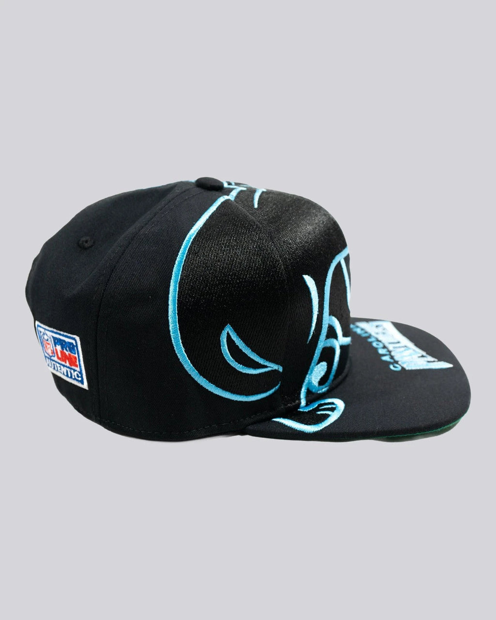 Gorra BIG LOGO CAROLINA PANTERS