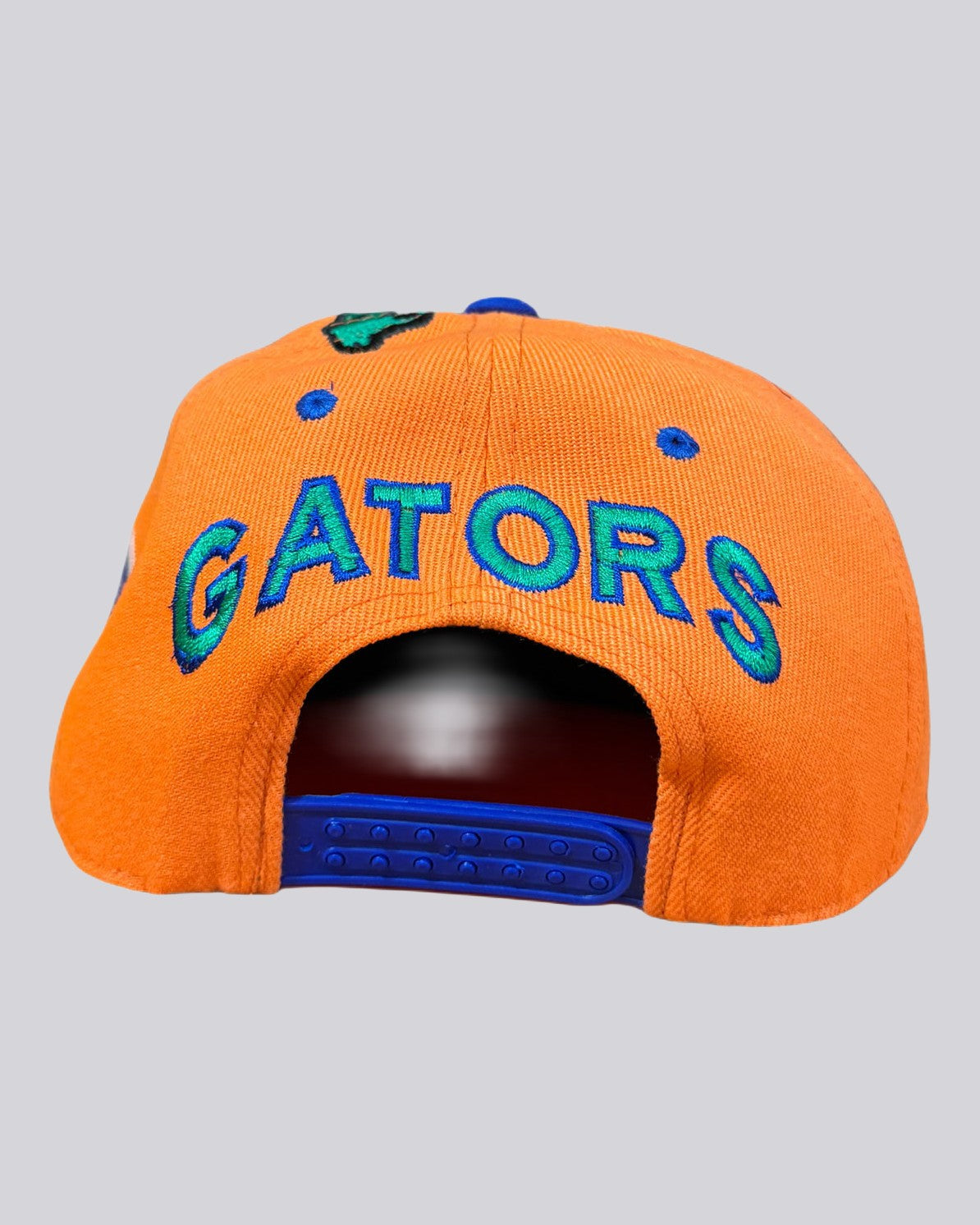 Gorra Logo. DE los FLORIDA ALLY GATORS