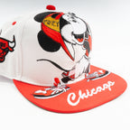 Gorra pergamino BULLS