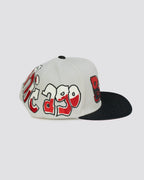 Gorra pergamino BULLS BLANCA lado