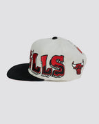 Gorra pergamino BULLS BLANCA trasera