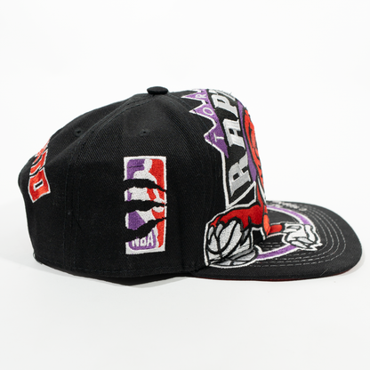 Gorra Logo RAPTORS