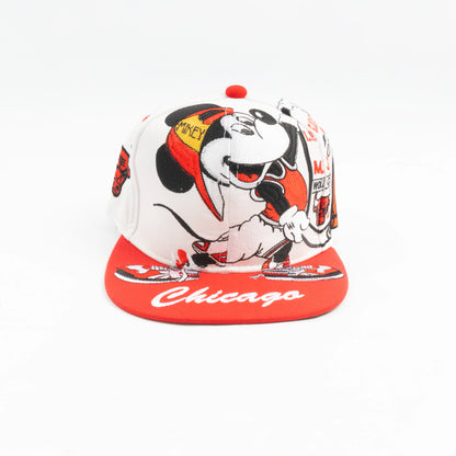 Gorra pergamino BULLS