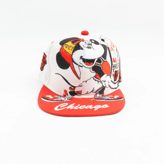 Gorra pergamino BULLS
