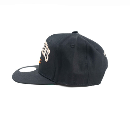 Gorra  de los MIAMI DOLPHINS