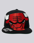Gorra Logo CHICAGO BULLS