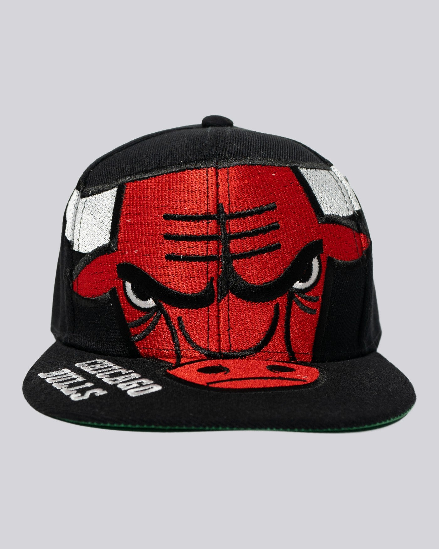 Gorra Logo CHICAGO BULLS