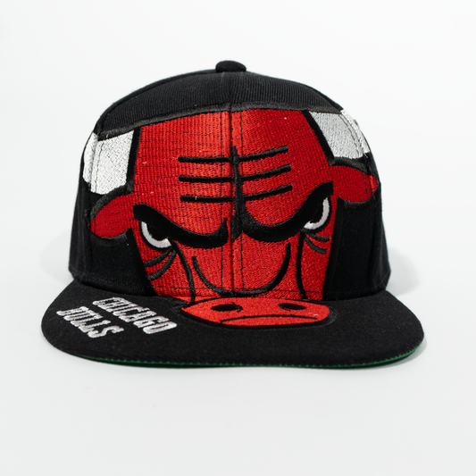 Gorra Logo CHICAGO BULLS
