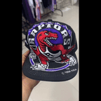 Gorra Logo RAPTORS