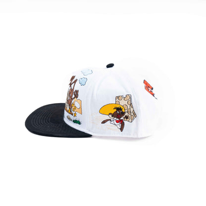 Gorra COYOTE Y EL CORRE CAMINOS