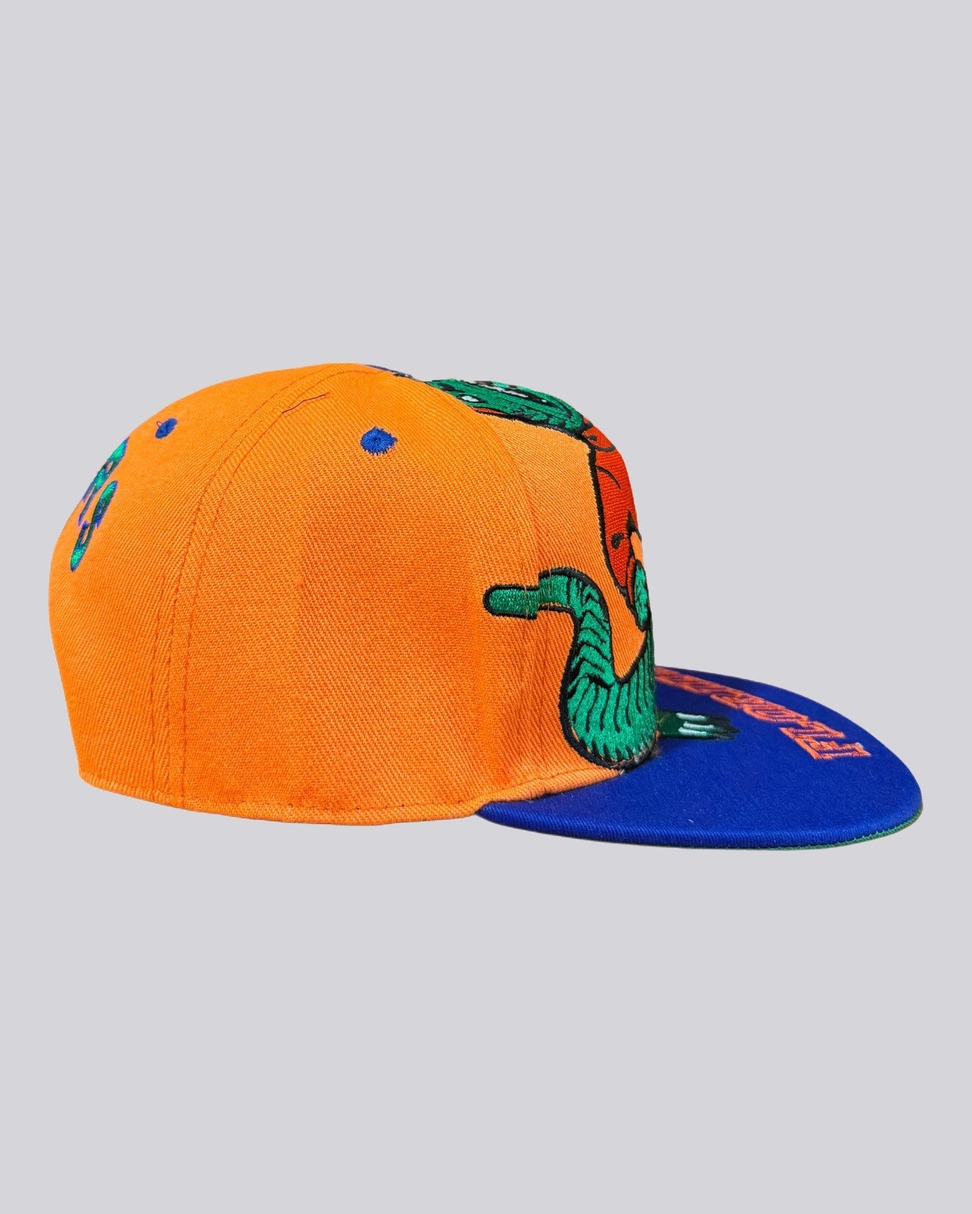 Gorra Logo. DE los FLORIDA ALLY GATORS