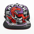 Gorra Logo RAPTORS