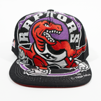 Gorra Logo RAPTORS