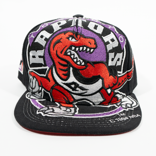 Gorra Logo RAPTORS