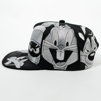 Gorra looney tunes 8 caras
