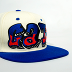 Gorra graffo de los florida Allygators