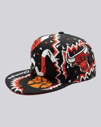 Gorra De los  Chicago BULLS