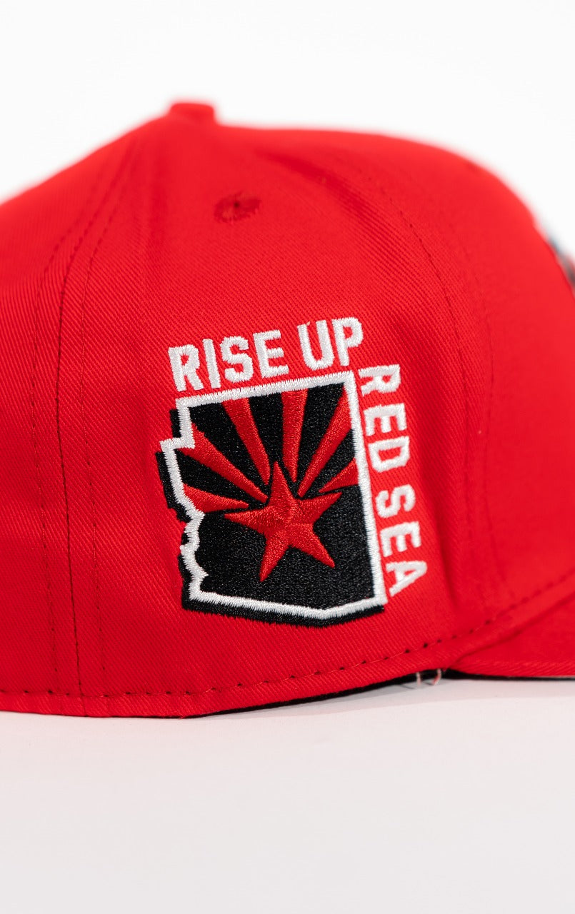 Gorra de los ARIZONA CARDINALS
